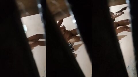 C 21.mp4 snapshot 00.01 horz