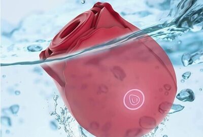 Rose Toy ปี 2026